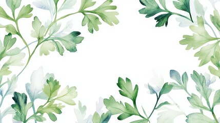 Watercolor Coriander Plant Illustration