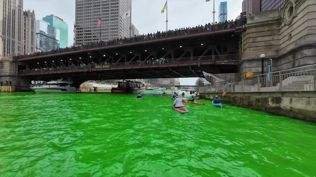 Paddle Chicago River after it was dyed green for St Patricks day with A Chicago fire boat and bridge lined with people. 