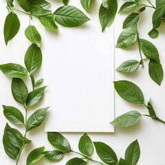 Naklejka premium Fresh green leaves surround a blank page on a white background for creative design inspiration and nature themes. Generative AI