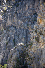 Person Climbing in the Rocky Mountains of Potrero Chico Park in Monterrey Nuevo León, Mexico