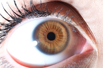 close up of a human eye