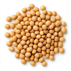 Close-Up View of Raw Soybeans on a White Background for Healthy Eating and Sustainable Agriculture Concepts