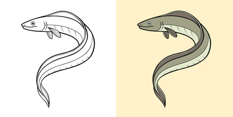 Detailed illustration of an eel, featuring both black and white and colored versions, showcasing elegant fluidity.
