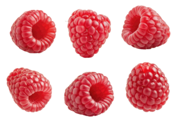 Six fresh, red raspberries isolated on transparent background