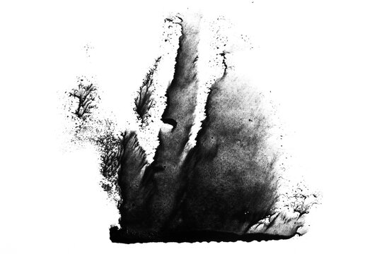Abstract Ink Splatters on White