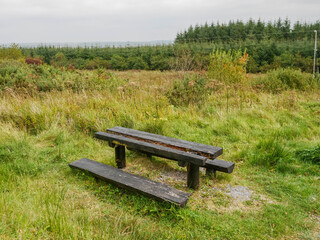 Obraz premium Old worn out wooden table in park with a one part broken and missing. Green grass around. Park maintenance and anti social behavior concept. Poor quality of material lead to quick wear and tear.