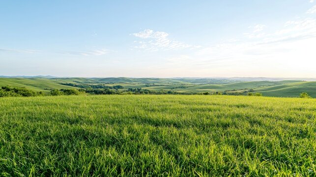 Rolling hills landscape, green field, sunny day, pastoral scene, nature background