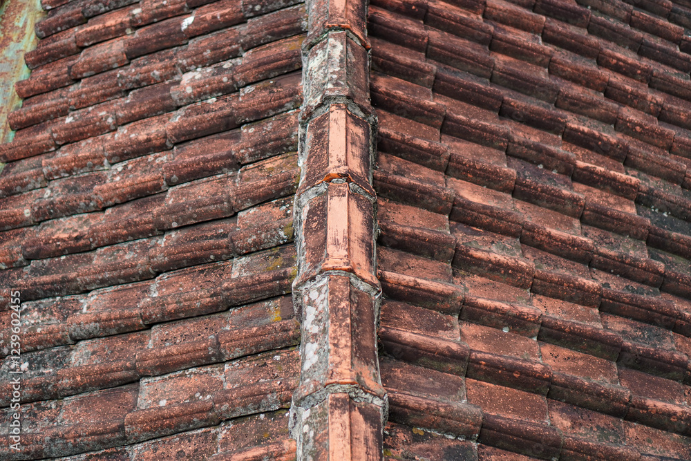 Poster close-up view of an old red tile roof, showcasing its weathered texture and architectural details. t