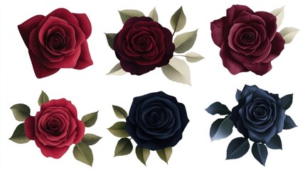A collection of six different colored roses, including red, blue, and purple. The roses are arranged in a way that creates a sense of harmony and balance. The colors of the roses complement each other
