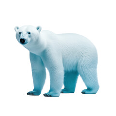 Fototapeta premium blue polar bear transparent background 