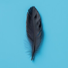 Single dark feather on blue background. 