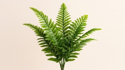 Fototapeta premium Green Artificial Fern Plant on Beige Background