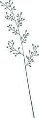 Handdrawn Floral Branch