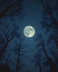 Fototapeta premium Majestic full moon hanging above a dark, barren landscape, surrounded by twisted trees, creating a peaceful yet mysterious nighttime atmosphere
