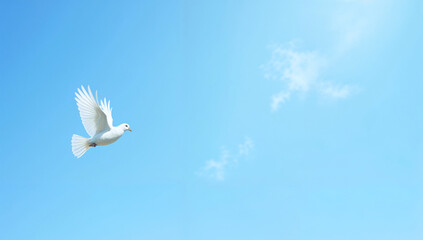 Fototapeta premium White dove flying in a clear blue sky, symbolizing the Holy Spirit and peace