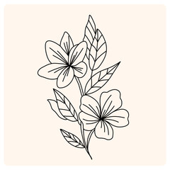 hand drawn flowers leaves and branches in doodle style