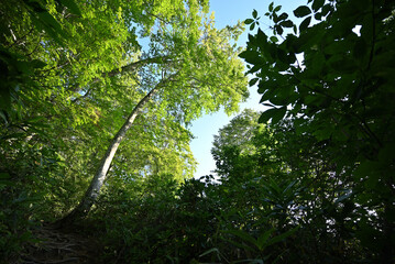 Climbing Mt. Aizu-Komagatake, Fukushima, Japan