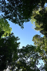 Climbing Mt. Aizu-Komagatake, Fukushima, Japan