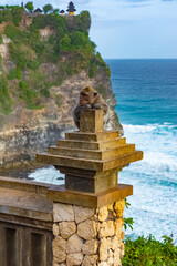 A monkey in Uluwatu Monkey Forest, Badung, Bali. Uluwatu Temple is visible in the background.