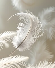 Obraz premium White Feather in Midair with Dreamy, Soft Focus and Beautiful Bokeh Lighting, Capturing a Serene and Gentle Moment of Floating in Peace 