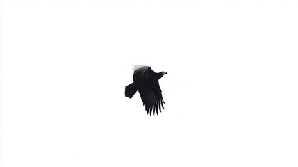 Fototapeta premium Black Bird in Flight Against White Sky
