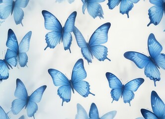 Butterfly wings in soft blue watercolor style ,  blue,  delicate,  wings