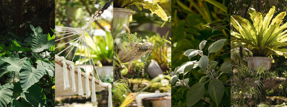 Collage banner of 5 various Australian tropical garden landscape images