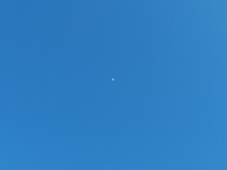 낮에 뜬 달