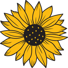 Vector Sunflower Flower