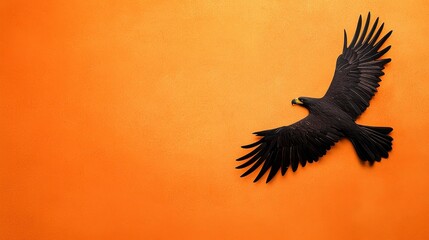 Obraz premium Majestic Black Eagle Soaring Against a Warm Orange Sky: A Stunning Wildlife Image