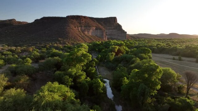 El Gavil&aacute;n, Sonora.