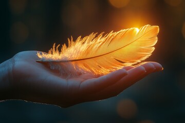 Golden feather sunset hand hope nature bokeh