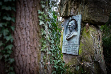 Serene forest scene featuring a weathered bronze memorial plaque on a moss-covered stone, commemorating a life well-lived.