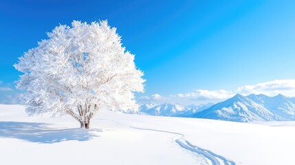 Snowy tree, mountain range, winter landscape, serene scene, nature photography