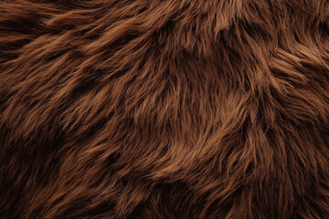 Fototapeta premium Dark brown luxurious fur with soft and dense fibers