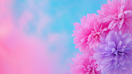 Fototapeta premium A vibrant display of pink and purple flowers against a soft blue and pink background, evoking a sense of tranquility and beauty.