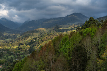 Naklejka premium Misty alpine landscape of Cocora valley, Salento, Colombia, South America. Clouds and Subtropical Andean Cordillera in Salento, Colombia, Nevados National Natural Park