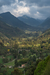 Fototapeta premium Misty alpine landscape of Cocora valley, Salento, Colombia, South America. Clouds and Subtropical Andean Cordillera in Salento, Colombia, Nevados National Natural Park