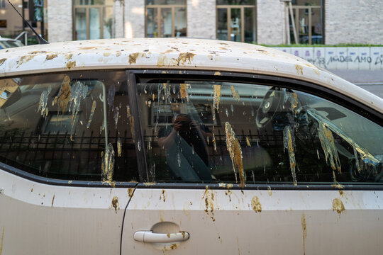 A city car is covered in bird droppings; the messy scene is captured from the side.