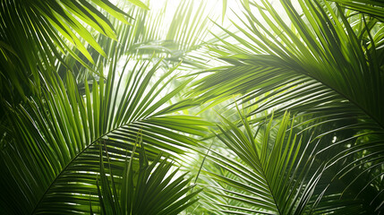 Obraz premium Tropical Green Palm Leaves, Natural Sunlight Background, Vibrant Botanical Backdrop, Eco-Friendly Design, Lush Jungle Foliage, Exotic Greenery