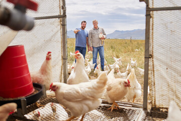 Men, father and son with chickens at poultry farm of family business, agriculture tradition or bonding. Smile, inspection and learning of meat production, free range eggs and rooster care in industry