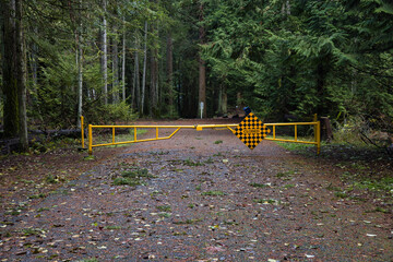 Yellow Metal gate in summer forest. The photo shows a gated entrance to a forest path, with leaves falling in the sommer season.