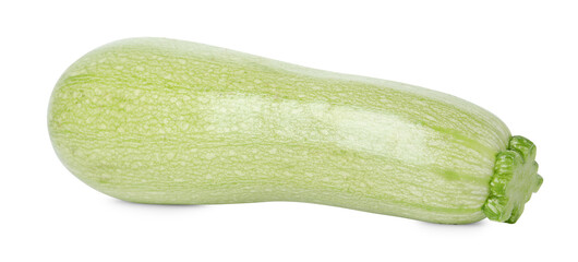 One fresh ripe zucchini isolated on white