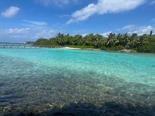 Fototapeta premium beach with turquoise water and clear blue sky