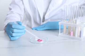 Fototapeta premium Laboratory testing. Scientist working with Petri dish and test tubes at white marble table, closeup