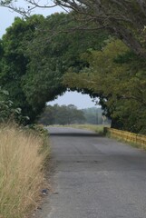 Amplias vias de comunicacion para el disfrute de los turistas ademas de su utilidad para la agricultura.