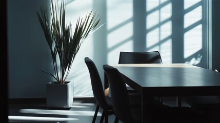 Modern Office Interior with Sunlight and Plant