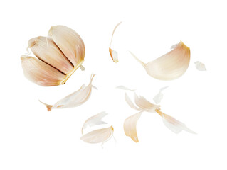 garlic on white background isolated