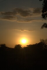 Unos atardeceres espectaculares adornados con el vuelo de las garzas y la cantidad de arboles.