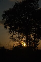 Unos atardeceres espectaculares adornados con el vuelo de las garzas y la cantidad de arboles.